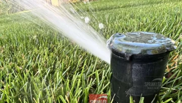 Close-up of a pop-up sprinkler watering a lawn.